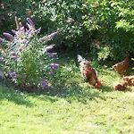 Westfalenhof Garni Hotel