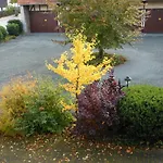 Westfalenhof Garni Hotel 3*