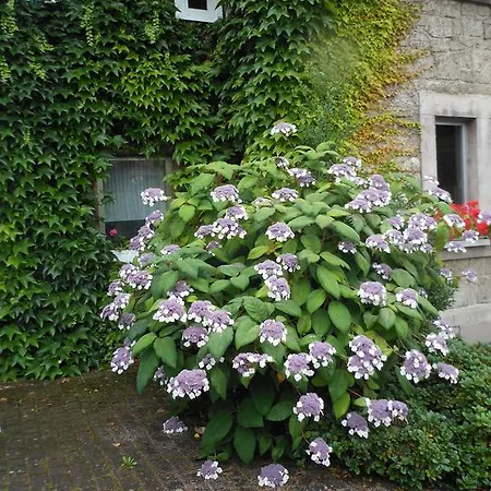 Otel Westfalenhof Garni