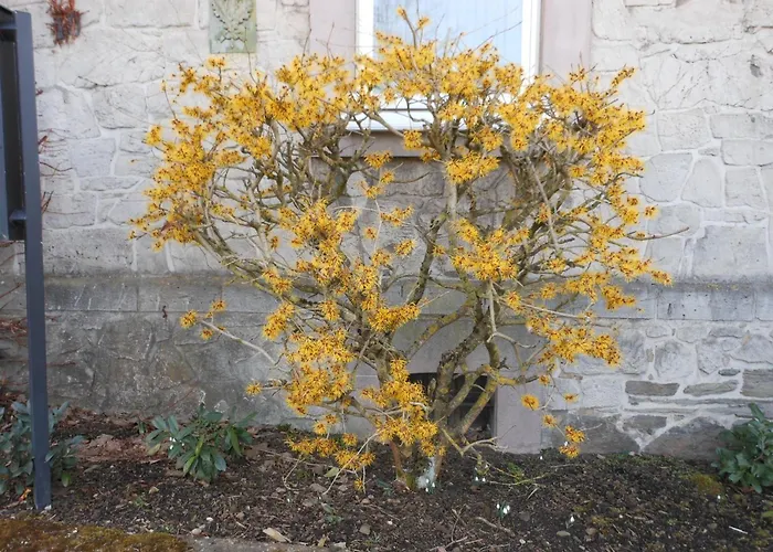 Hotel Westfalenhof Garni