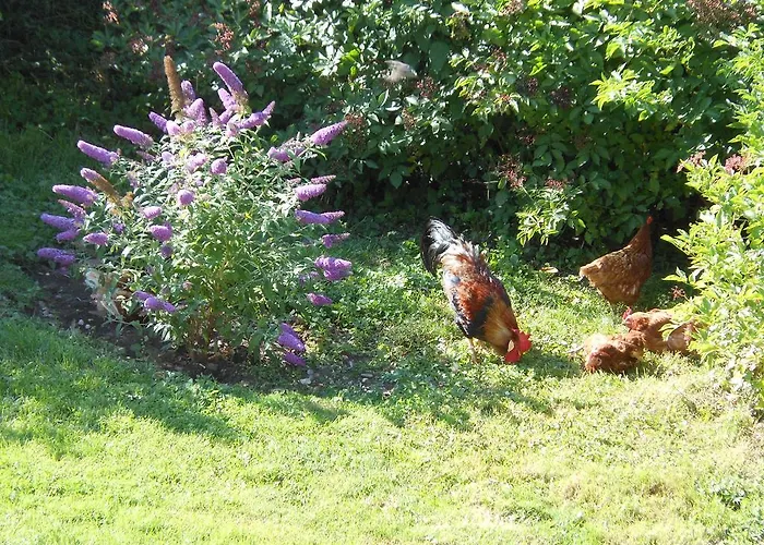 Westfalenhof Garni Hotel