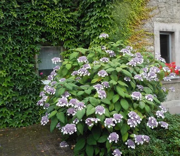 Hotel Westfalenhof Garni